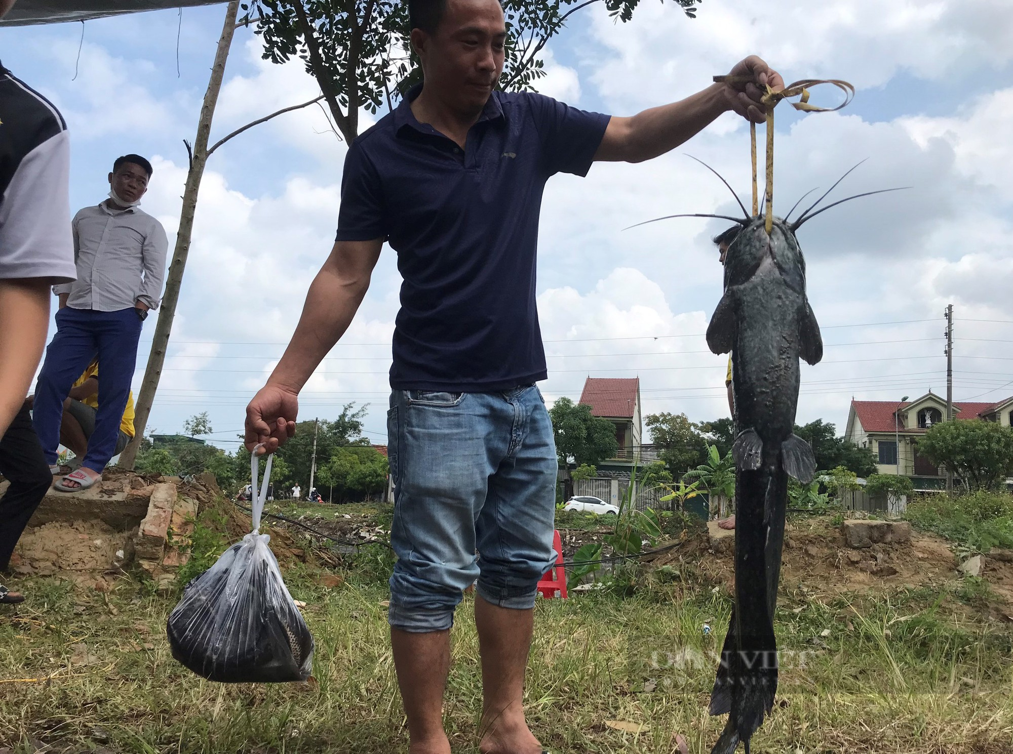 Mang 3 máy bơm hút cạn ao quanh năm phủ kín lục bình săn &quot;thủy quái&quot; ngay giữa lòng thành phố - Ảnh 11.