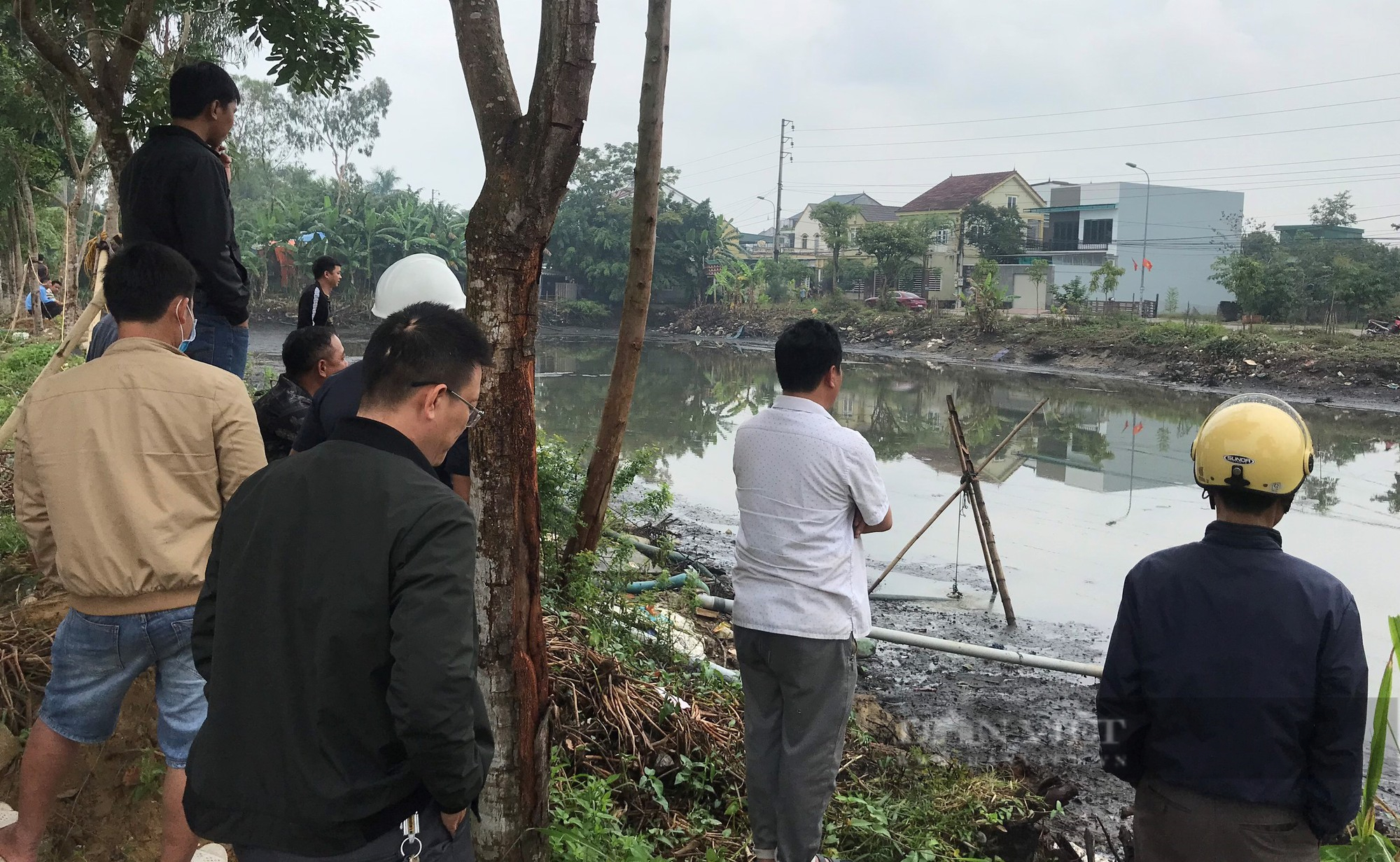 Mang 3 máy bơm hút cạn ao quanh năm phủ kín lục bình săn &quot;thủy quái&quot; ngay giữa lòng thành phố - Ảnh 2.