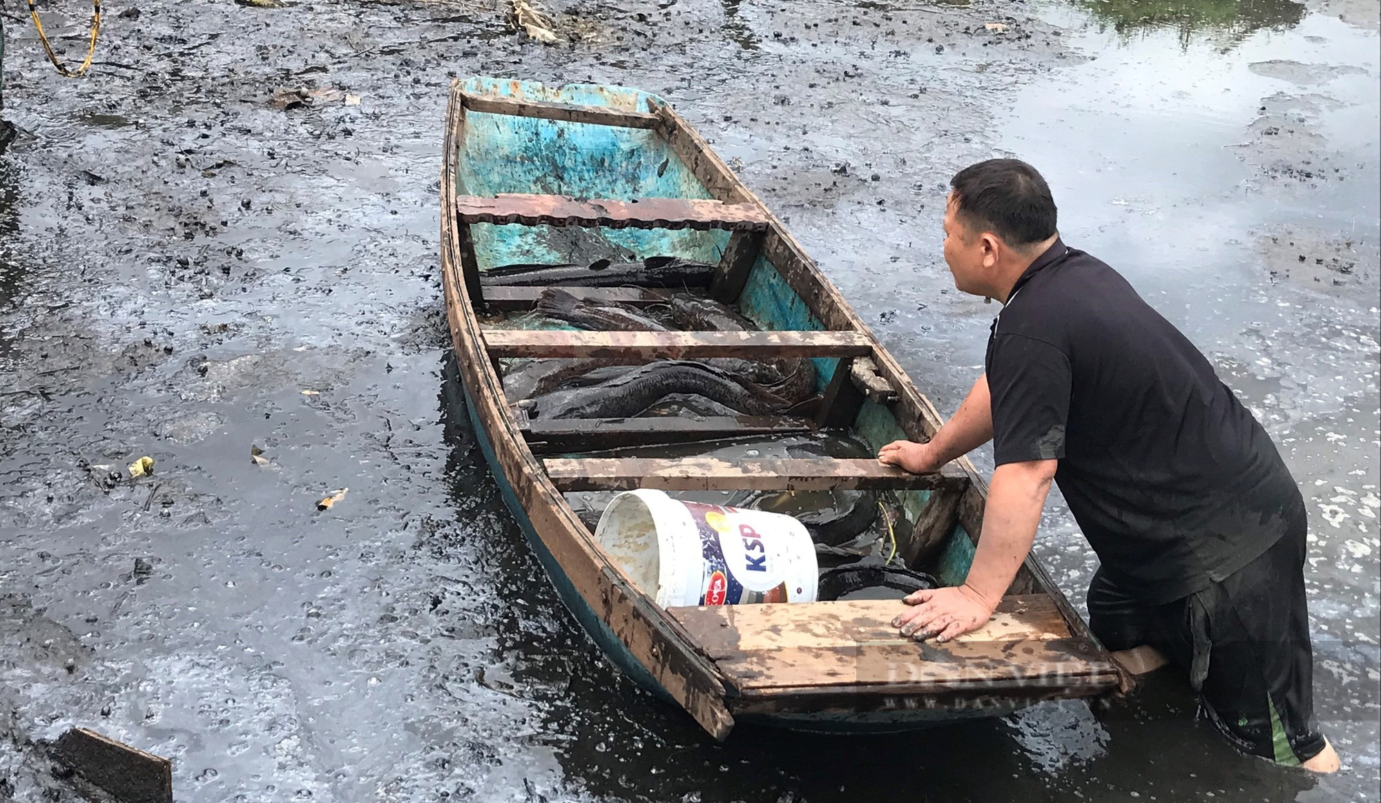 Mang 3 máy bơm hút cạn ao quanh năm phủ kín lục bình săn &quot;thủy quái&quot; ngay giữa lòng thành phố - Ảnh 5.