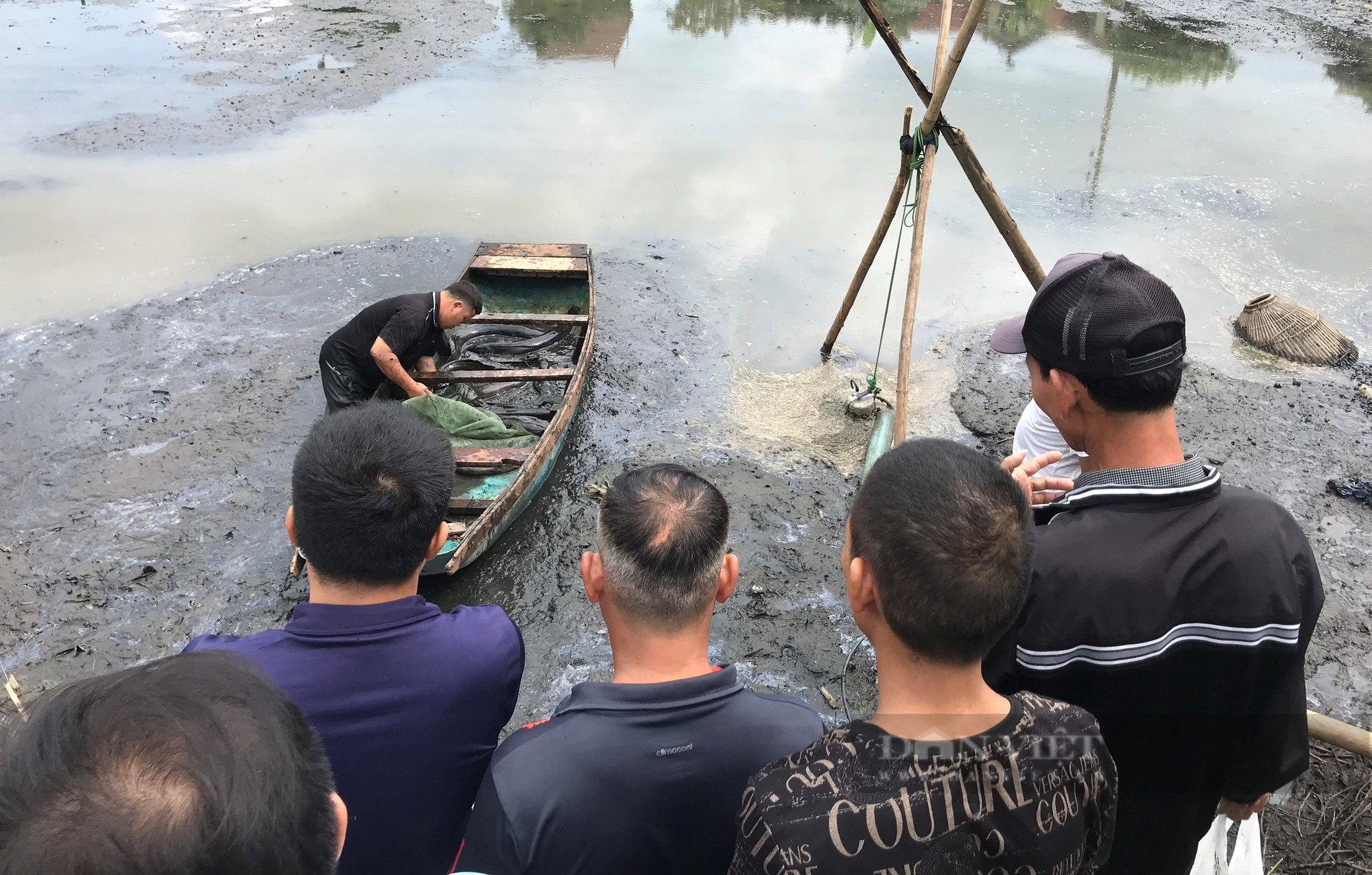 Mang 3 máy bơm hút cạn ao quanh năm phủ kín lục bình săn &quot;thủy quái&quot; ngay giữa lòng thành phố - Ảnh 6.