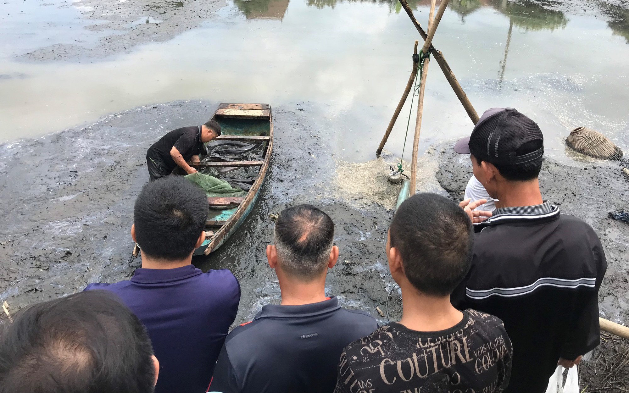 Dân kéo nhau đi xem cảnh bắt những con cá trê &quot;già đời&quot; to bằng bắp chân giữa thành phố Vinh