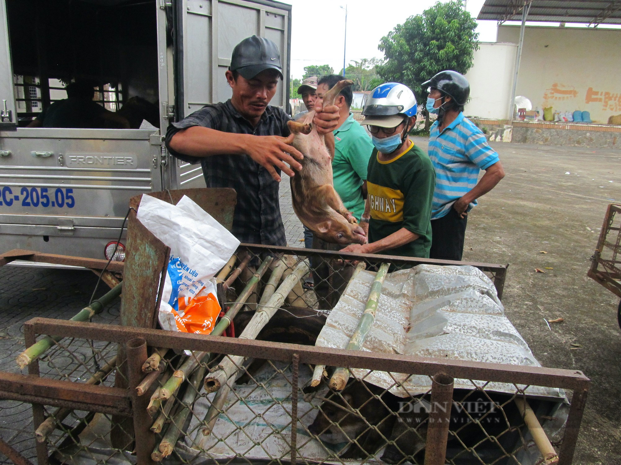 Hội Nông dân tỉnh Bà Rịa – Vũng Tàu trao heo rừng giống, thức ăn chăn nuôi cho hộ nghèo xã Long Phước - Ảnh 2.