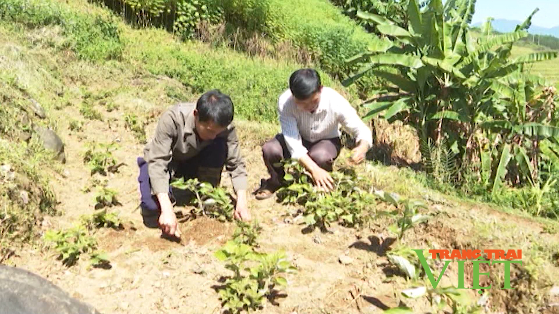Lai Châu: Đẩy mạnh công tác giảm nghèo ở Khun Há - Ảnh 1.