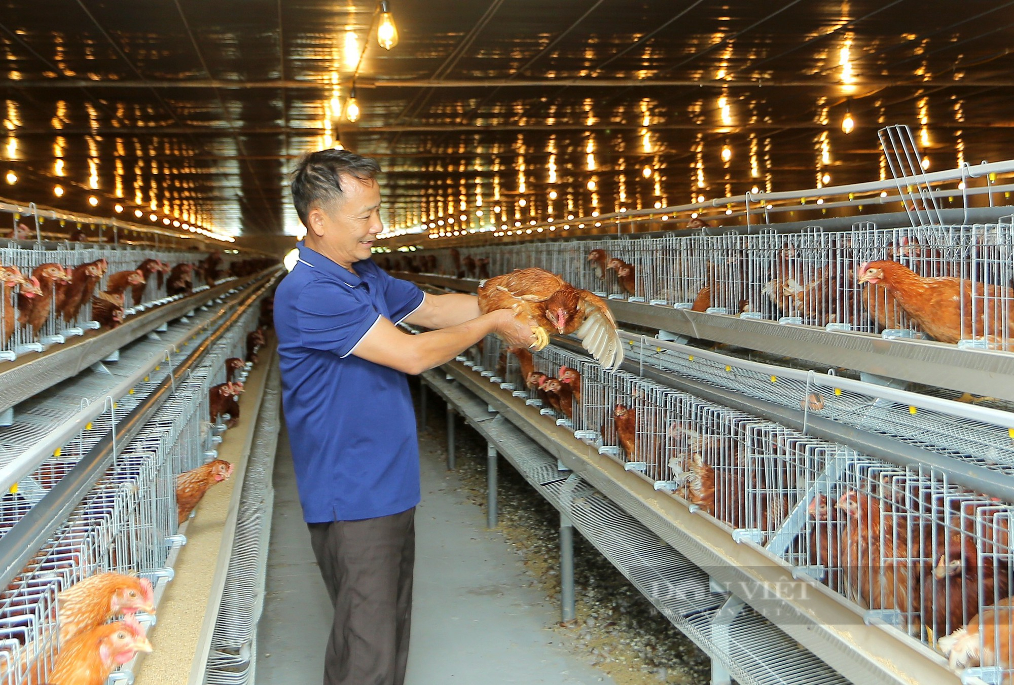 Một nông dân ở Bắc Ninh mạnh tay chi tiền tỷ xây chuồng lạnh để nuôi gà - Ảnh 1.