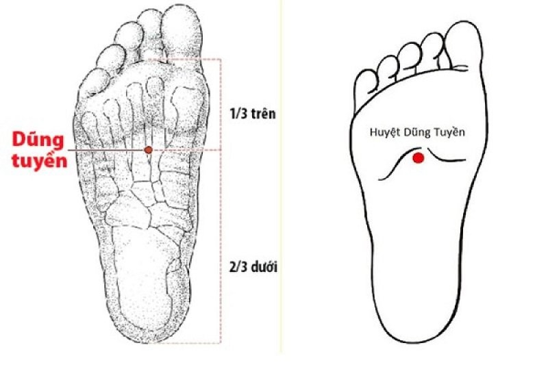 Ít ai biết dưới chân có 1 &quot;công tắc giấc ngủ&quot;, ấn vào mỗi ngày sẽ ngủ ngon cả đêm - Ảnh 3.