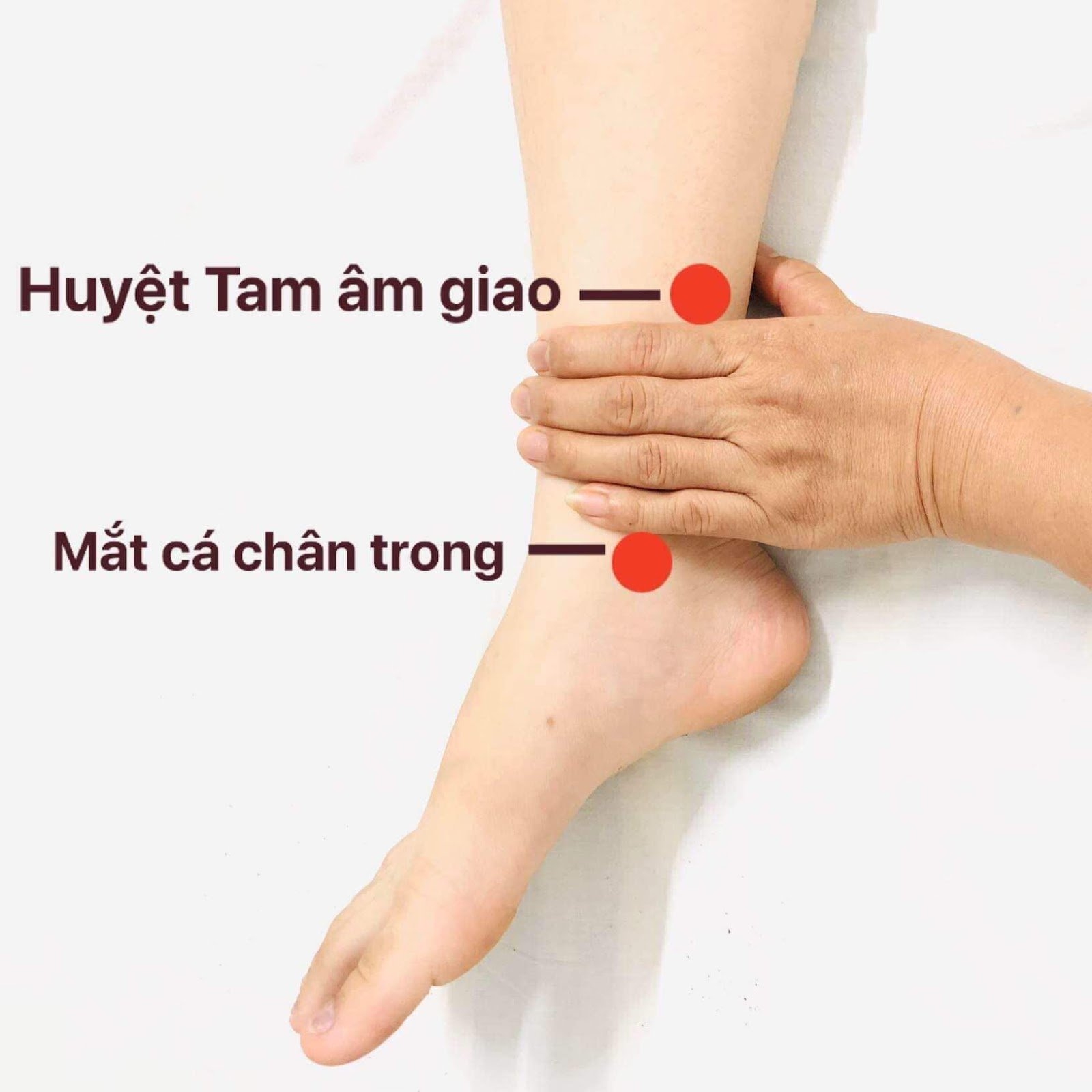 Ít ai biết dưới chân có 1 &quot;công tắc giấc ngủ&quot;, ấn vào mỗi ngày sẽ ngủ ngon cả đêm - Ảnh 2.