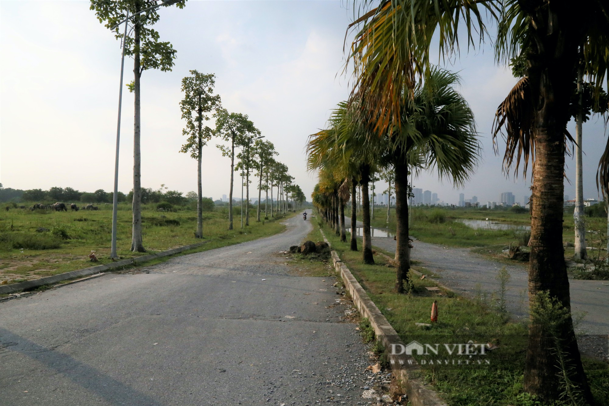 Hà Nội chỉ đạo “nóng” liên quan đến dự án Khu đô thị Thanh Cienco 5 - Ảnh 4.