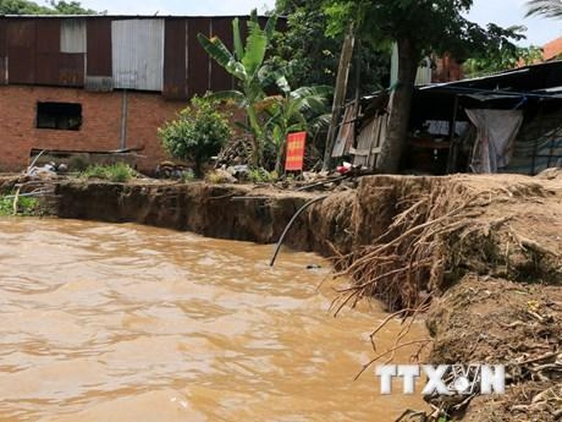 Sạt lở sông Tiền khu vực xã Tân Quới, tỉnh Đồng Tháp lập tức công bố tình huống khẩn cấp  - Ảnh 1.