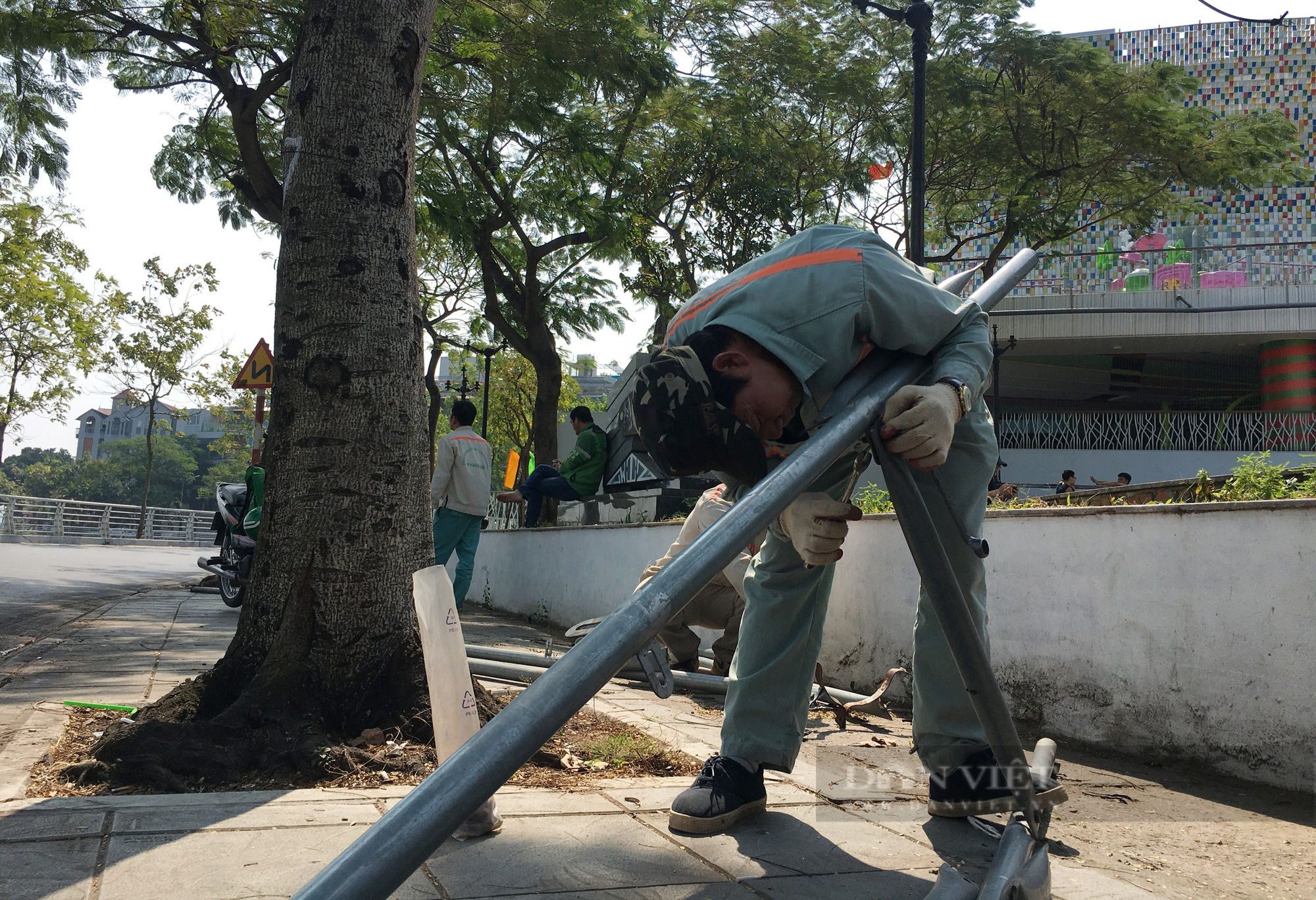 Hà Nội: Tháo dỡ, nới lỏng gông sắt trên cây xanh đô thị - Ảnh 5.