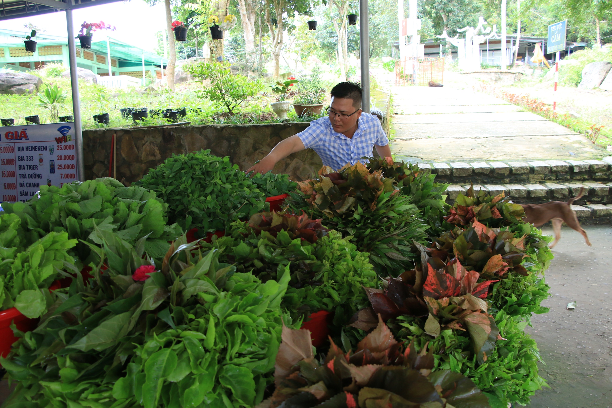 Vùng đất mang tên Núi Cấm ở An Giang lạ lắm, khách xa tới ai cũng gọi rau rừng ra ăn nhiệt tình - Ảnh 5.