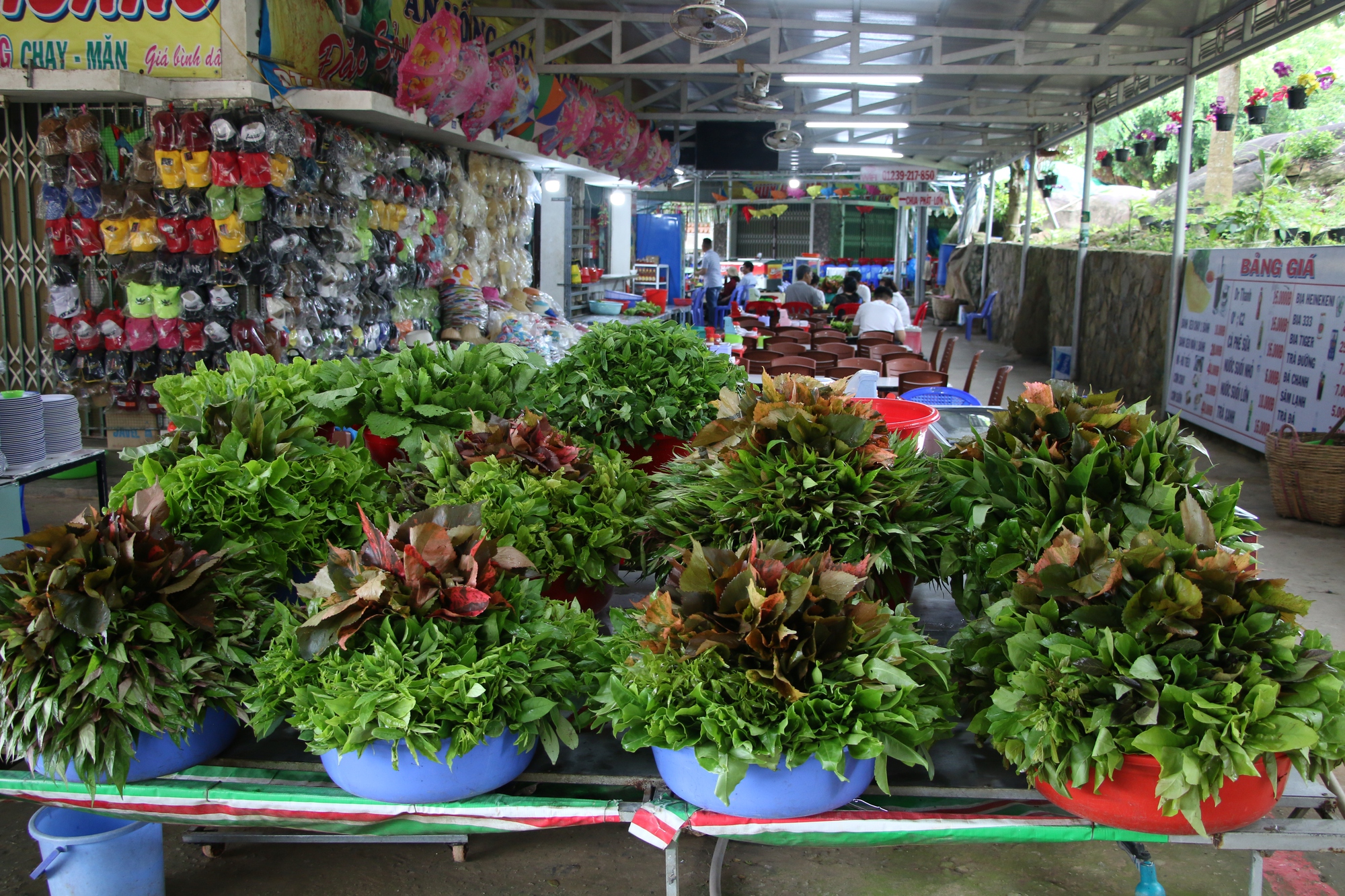 Vùng đất mang tên Núi Cấm ở An Giang lạ lắm, khách xa tới ai cũng gọi rau rừng ra ăn nhiệt tình - Ảnh 8.