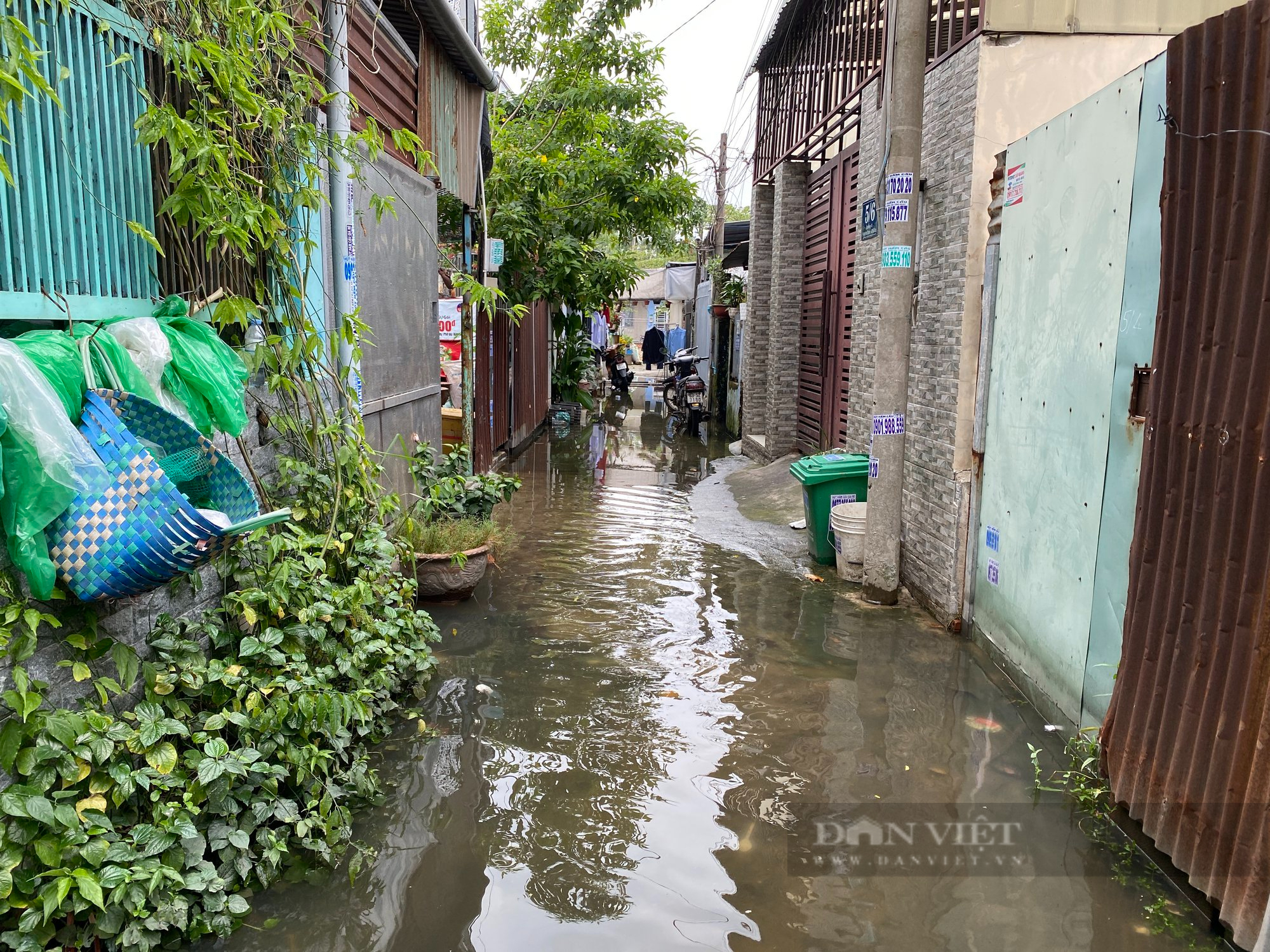 Người dân khốn đốn khi nhiều con hẻm trên địa bàn TP.Thủ Đức ngập sâu, sình lầy mặc dù không mưa - Ảnh 2.