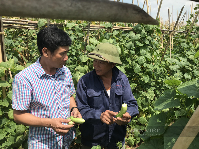 Hội đồng kỹ năng nghề trong ngành nông nghiệp 