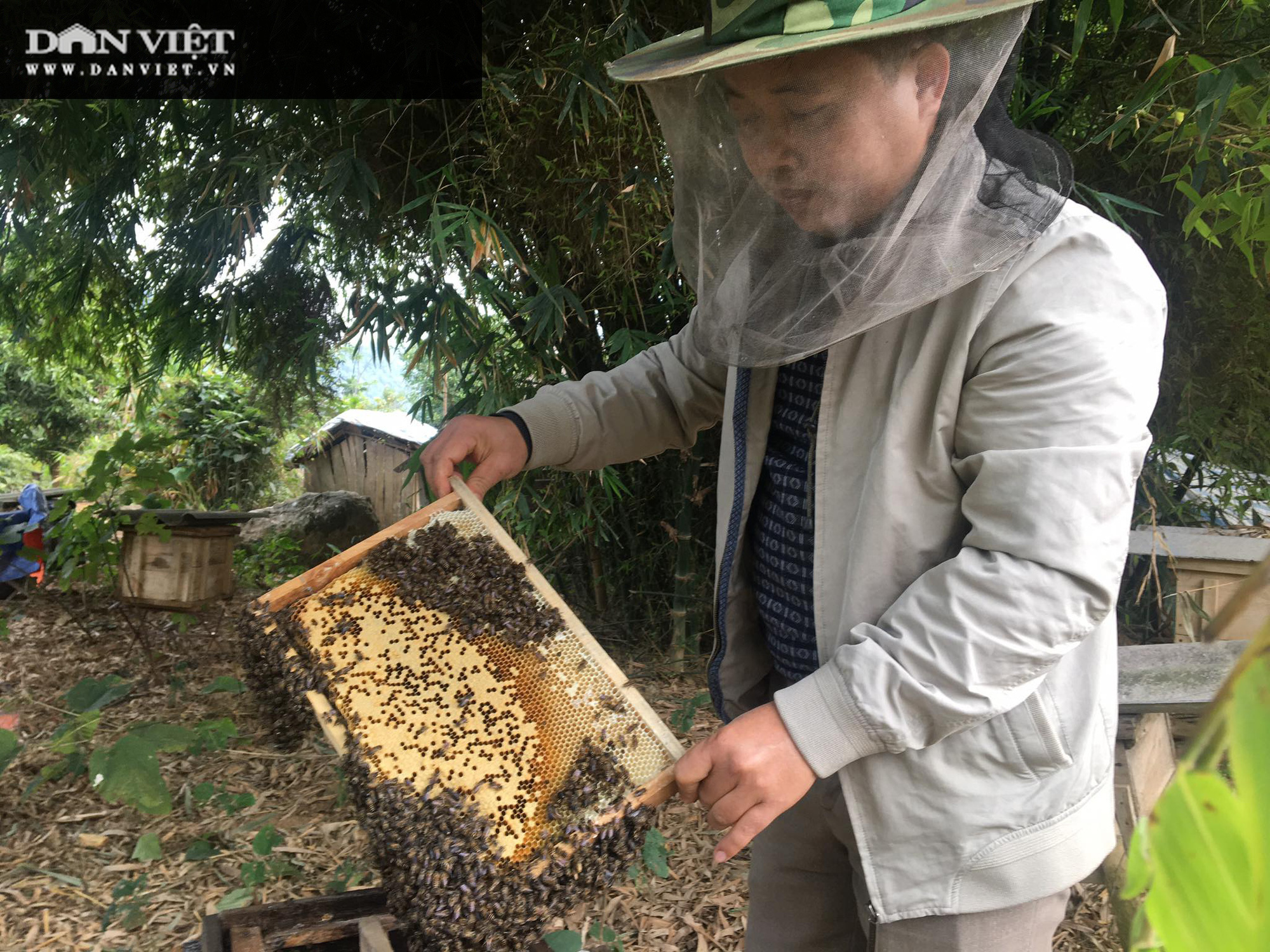 Thị trường Mỹ mua rất nhiều mật ong của Việt Nam để làm gì? - Ảnh 1.