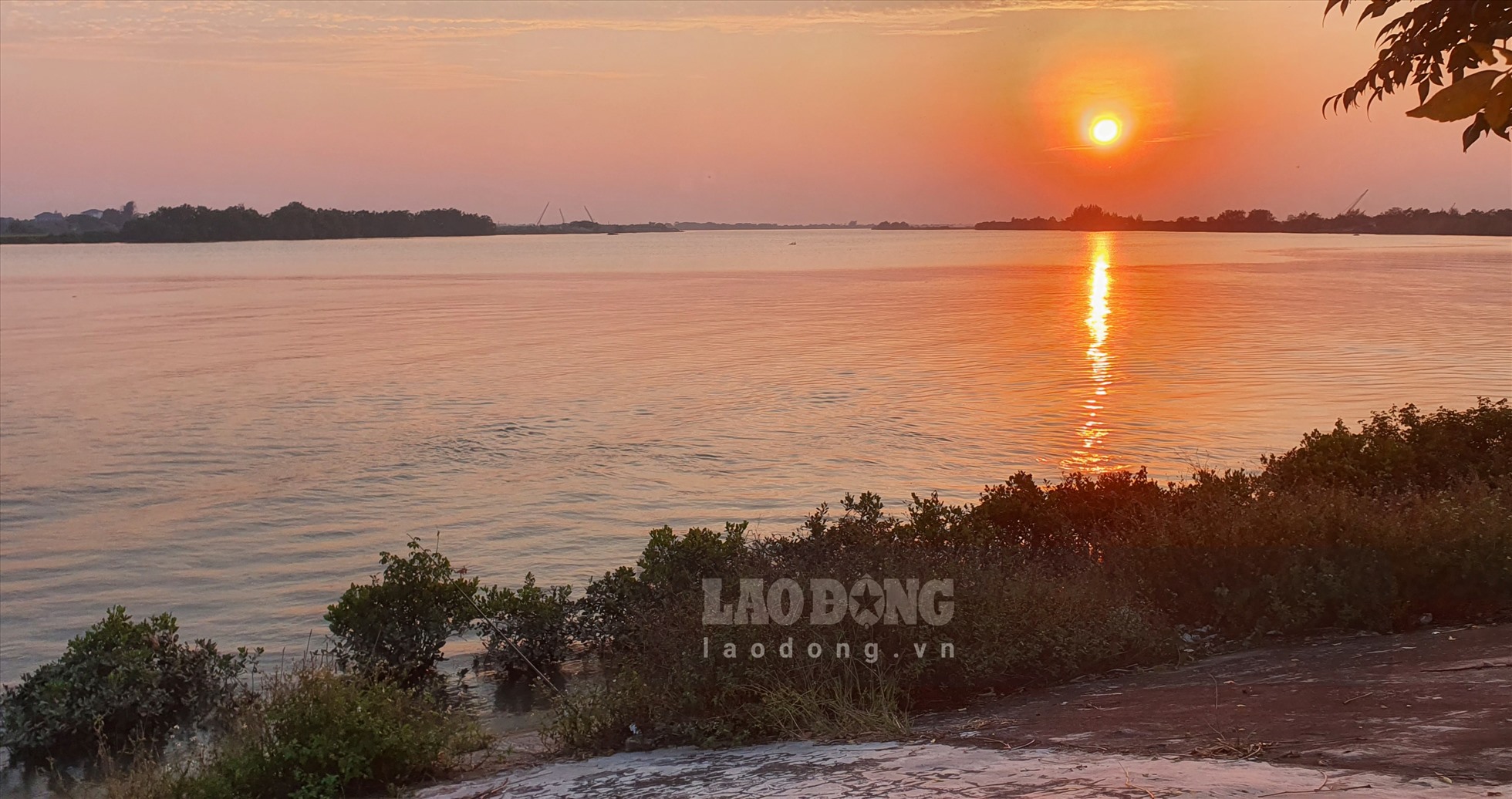 Câu loài cá vược đỏ hay còn gọi là cá răng chó ở chân kè đá nơi sông Hồng đổ ra biển ở Thái Bình - Ảnh 9.