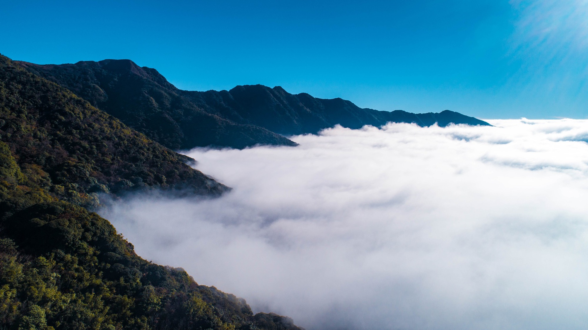 Sôi động tour săn mây, ngắm hoa tam giác mạch và trekking khu rừng ma mị - Ảnh 2.