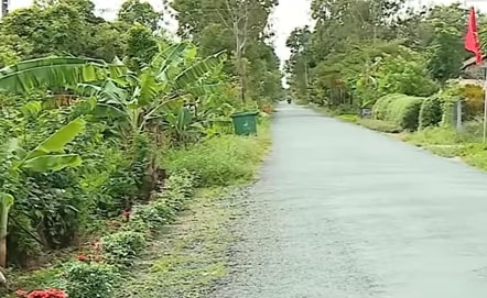 Nông thôn mới huyện Tam Bình của Vĩnh Long, tạo thói quen &quot;gặp&quot; thùng rác, tuyến đường hoa sạch đẹp tinh tươm - Ảnh 1.