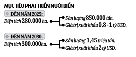 Kỳ vọng năm 2030 đạt 1,4 triệu tấn nuôi biển - Ảnh 2.