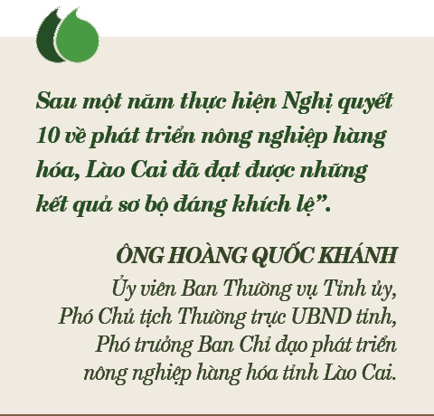 Đưa nông sản từ thâm sơn cùng cốc hội nhập quốc tế (Bài 3) - Ảnh 3.