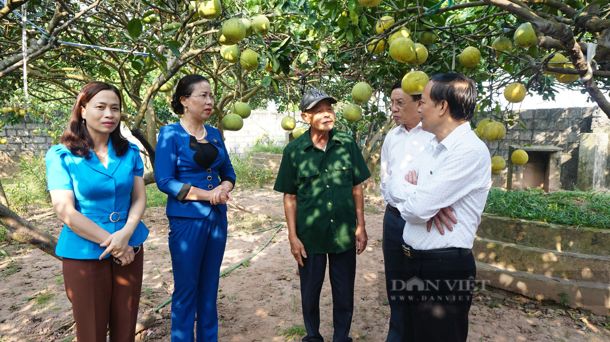 Phó Chủ tịchTƯ Hội NDVN Bùi Thị Thơm và đoàn công tác kiểm tra công tác Hội và phong trào nông dân ở Hà Nam- Ảnh 2.