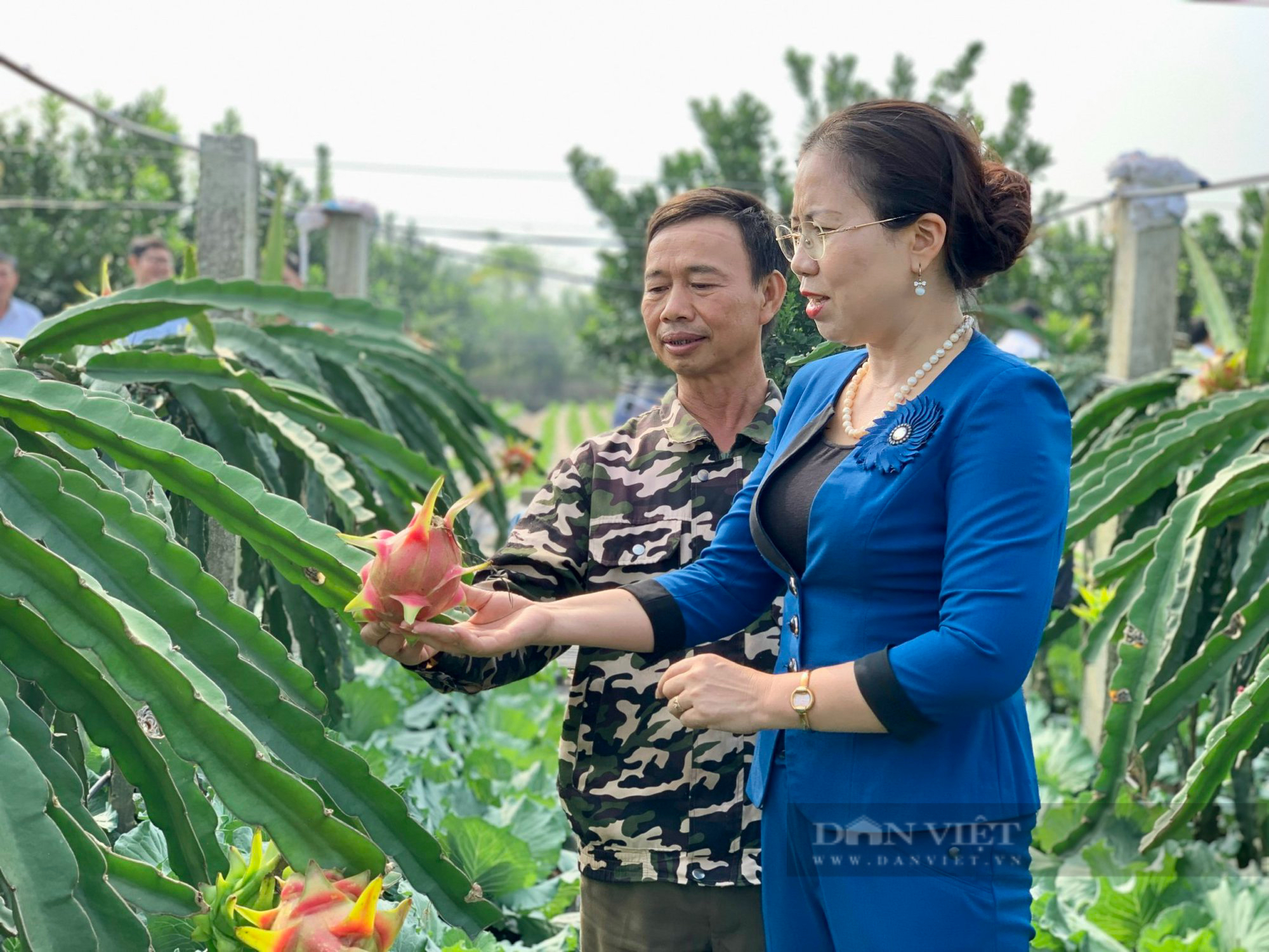 Phó Chủ tịch Hội NDVN Bùi Thị Thơm ấn tượng mô hình trồng nho công nghệ cao của nông dân Hà Nam - Ảnh 5.