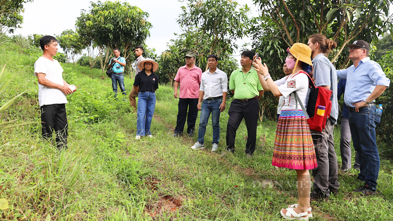 Sơn La: Đẩy mạnh tư vấn, hỗ trợ, đào tạo nghề cho nông dân - Ảnh 12.