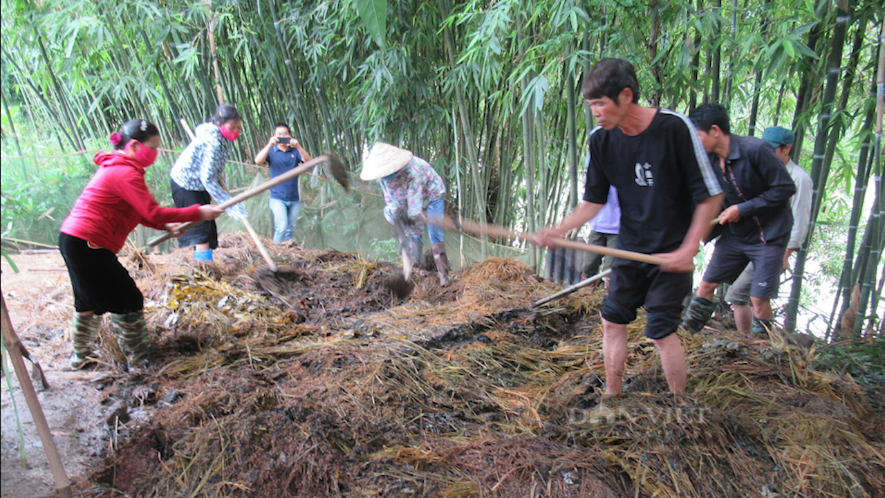 Sơn La: Đẩy mạnh tư vấn, hỗ trợ, đào tạo nghề cho nông dân - Ảnh 13.