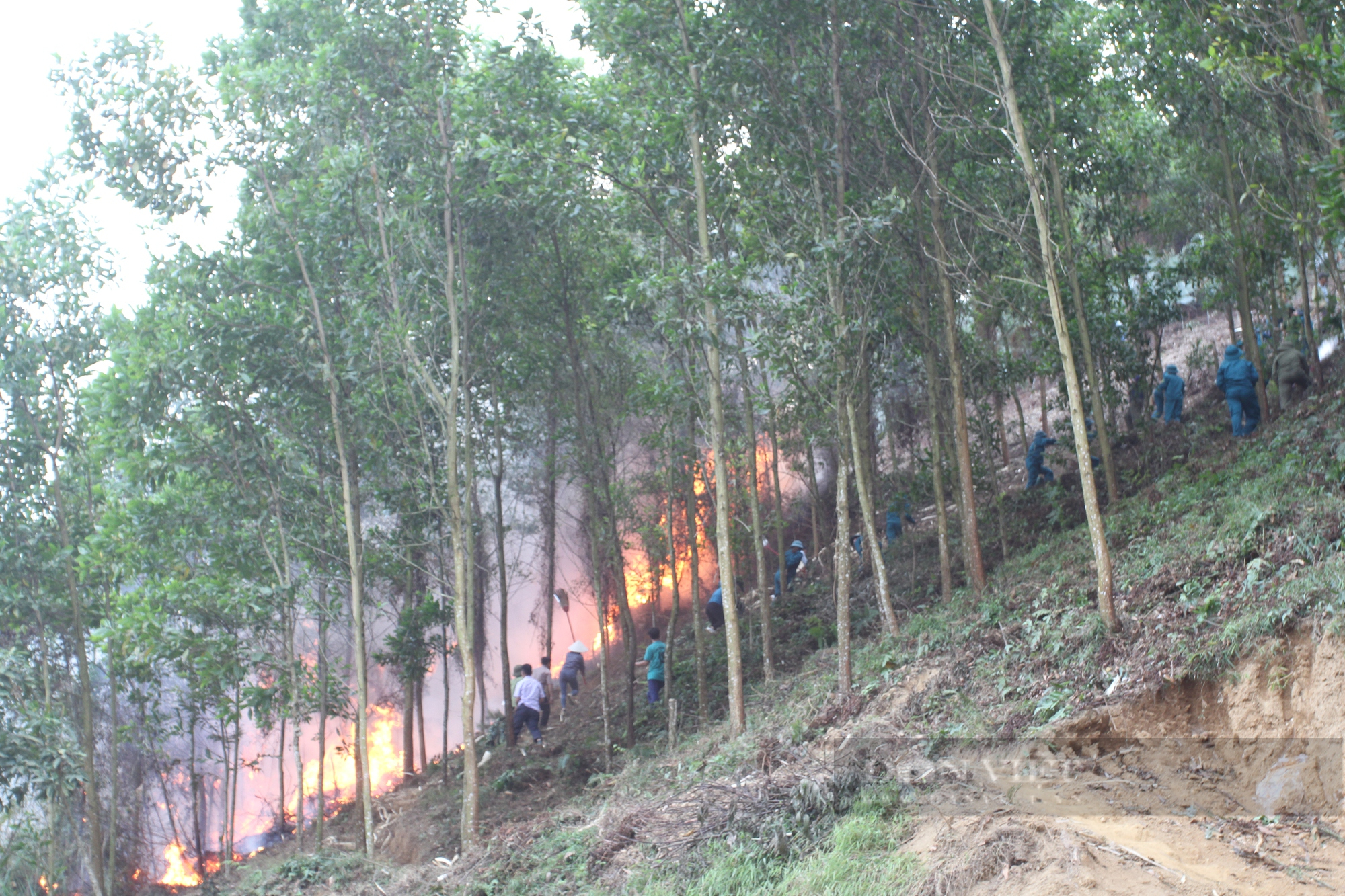Định Hóa - Thái Nguyên: Hàng trăm người tham gia diễn tập phòng cháy chữa cháy rừng  - Ảnh 2.