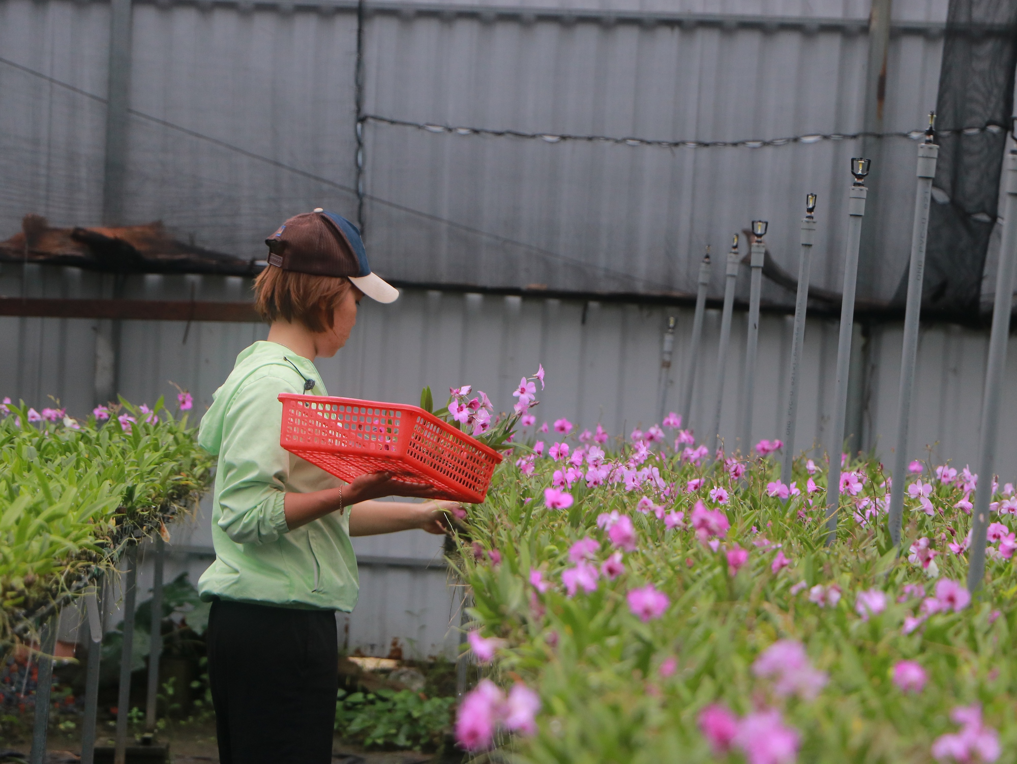 TP.HCM: Rà soát các phương án tham gia chương trình hỗ trợ lãi vay và đề xuất phương án cho giai đoạn mới - Ảnh 1.