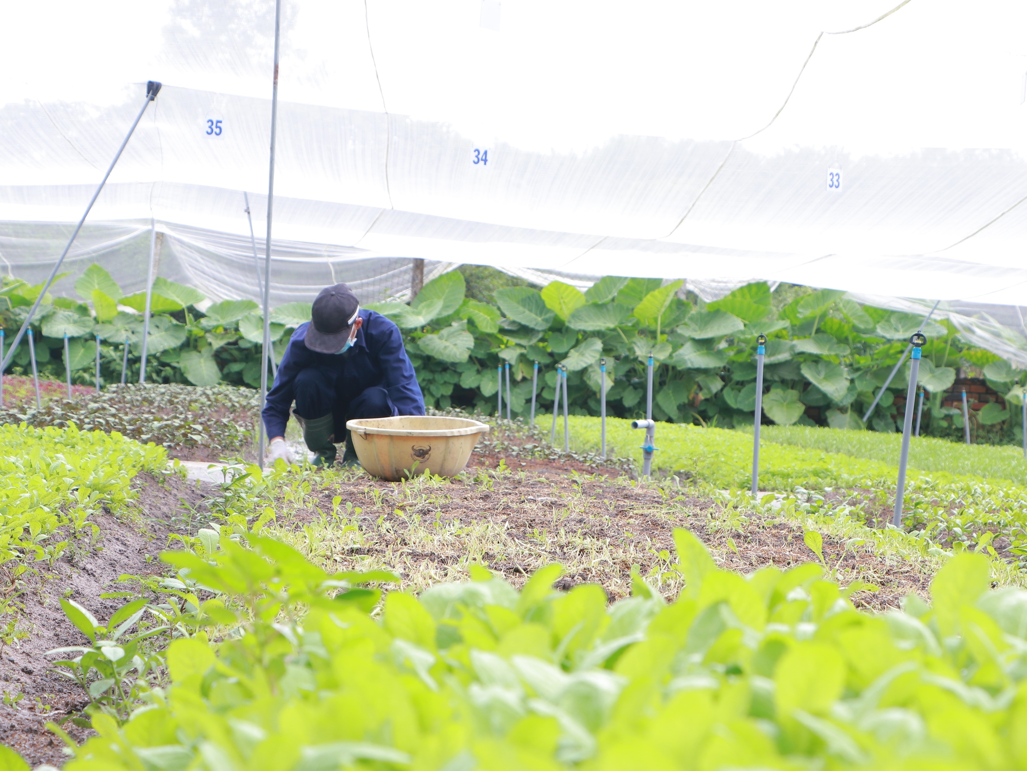 TP.HCM: Rà soát các phương án tham gia chương trình hỗ trợ lãi vay và đề xuất phương án cho giai đoạn mới - Ảnh 3.