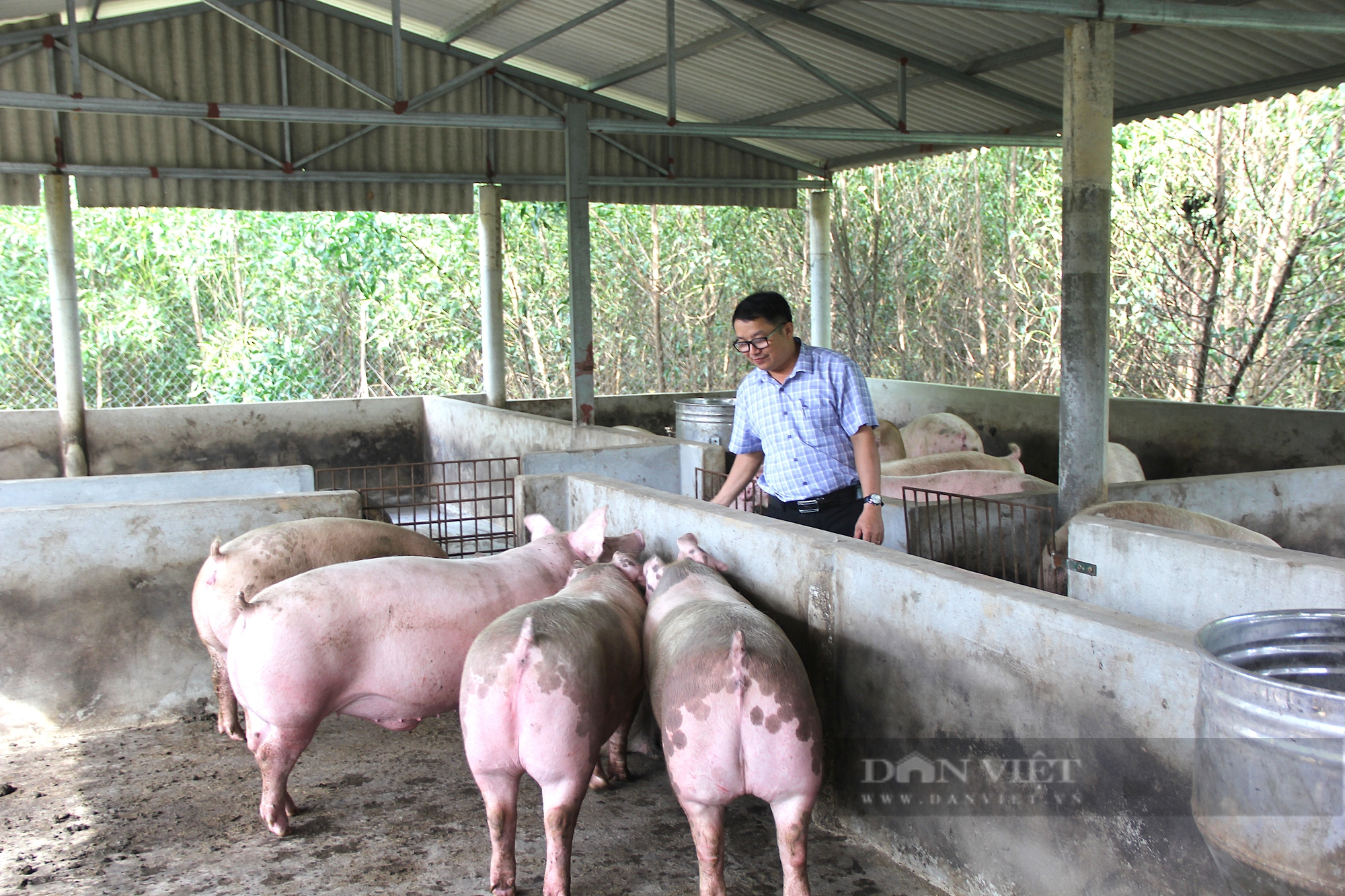 Làm trang trại VACR, cán bộ Hội Nông dân bỏ túi 500 triệu đồng mỗi năm - Ảnh 3.