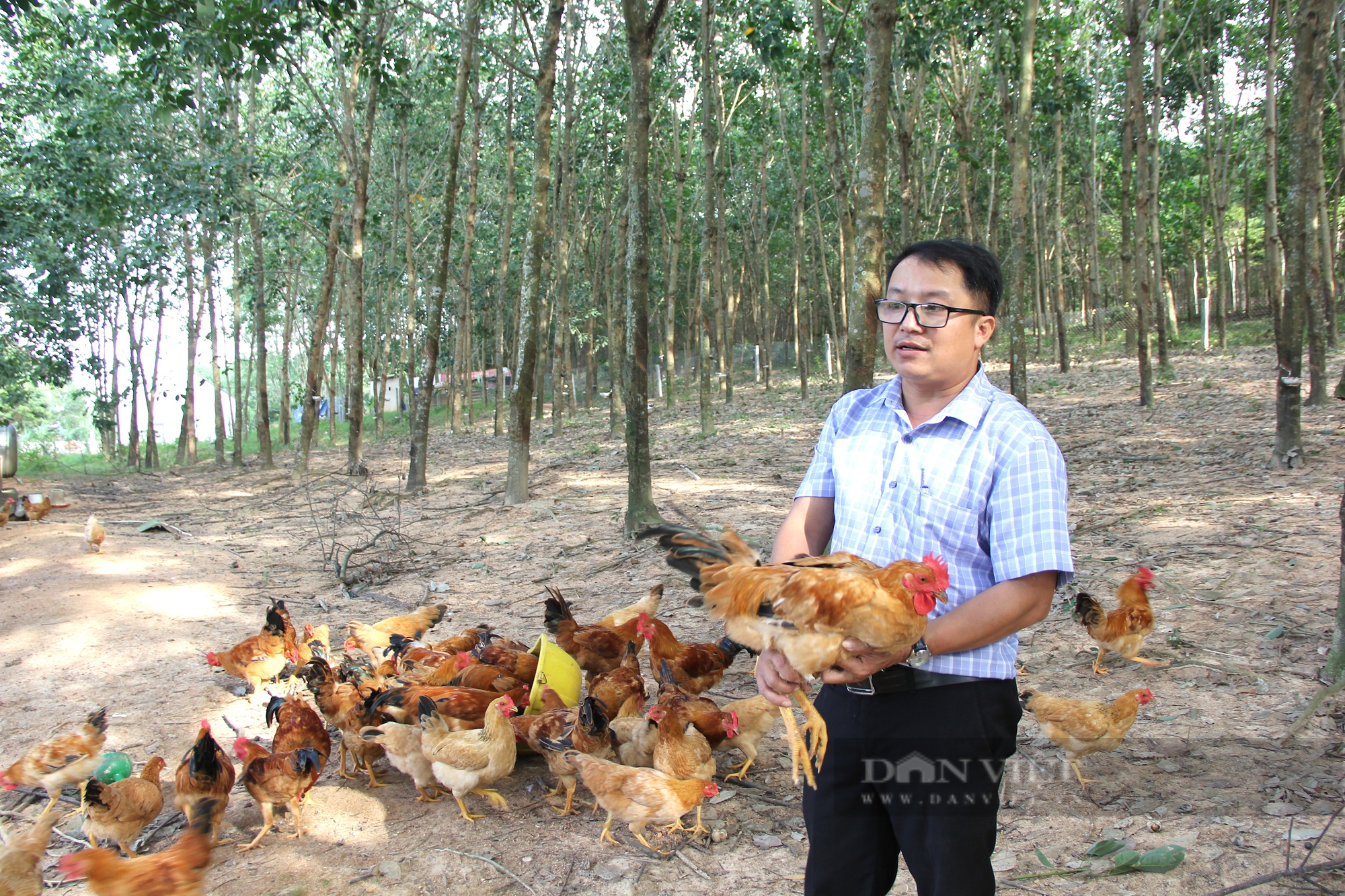 Làm trang trại VACR, cán bộ Hội Nông dân bỏ túi 500 triệu đồng mỗi năm - Ảnh 1.