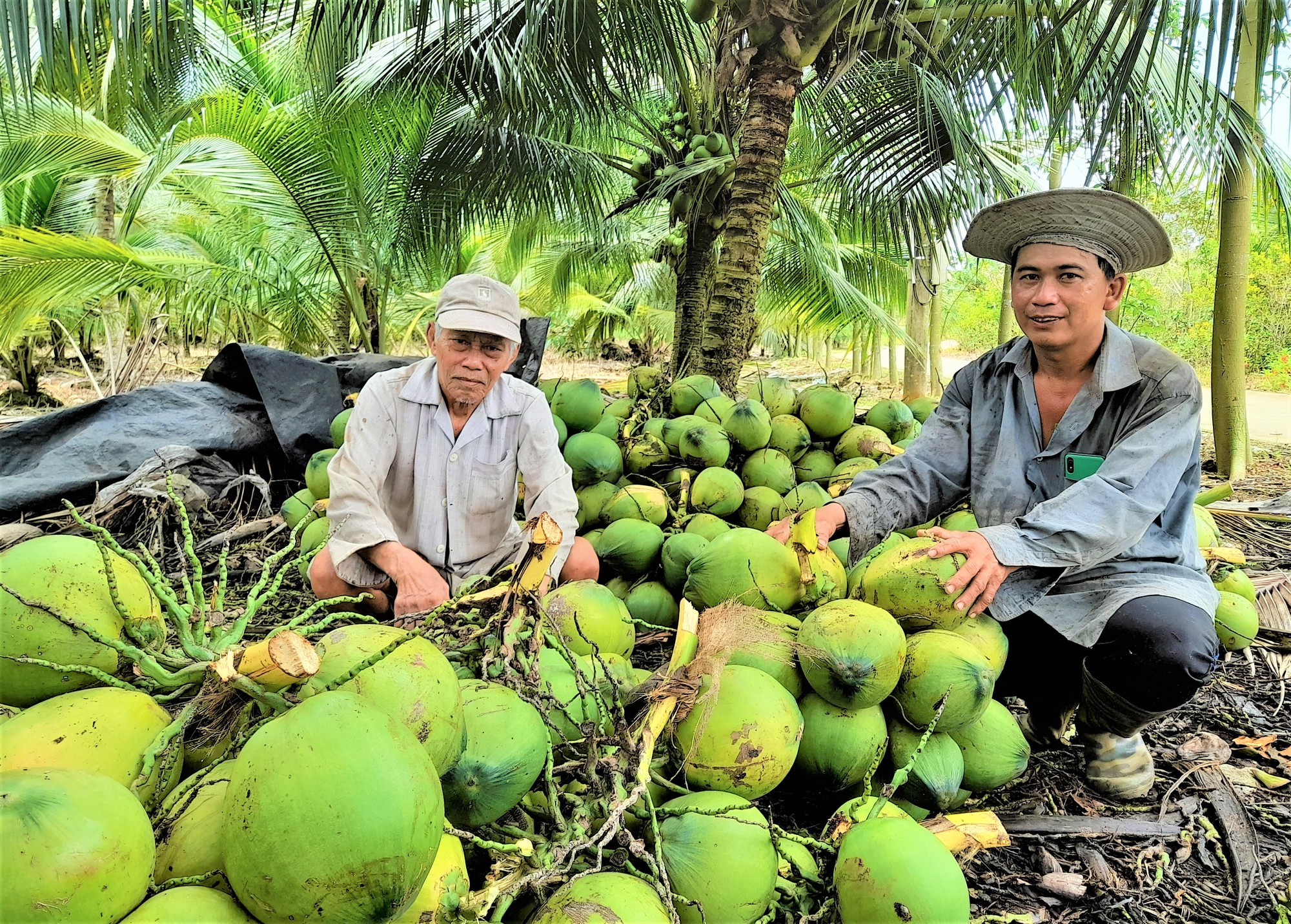 Trồng cây thấp tè đã ra vô số trái, dân nơi này của Đồng Nai hái xếp la liệt, bao nhiêu cũng bán hết - Ảnh 1.