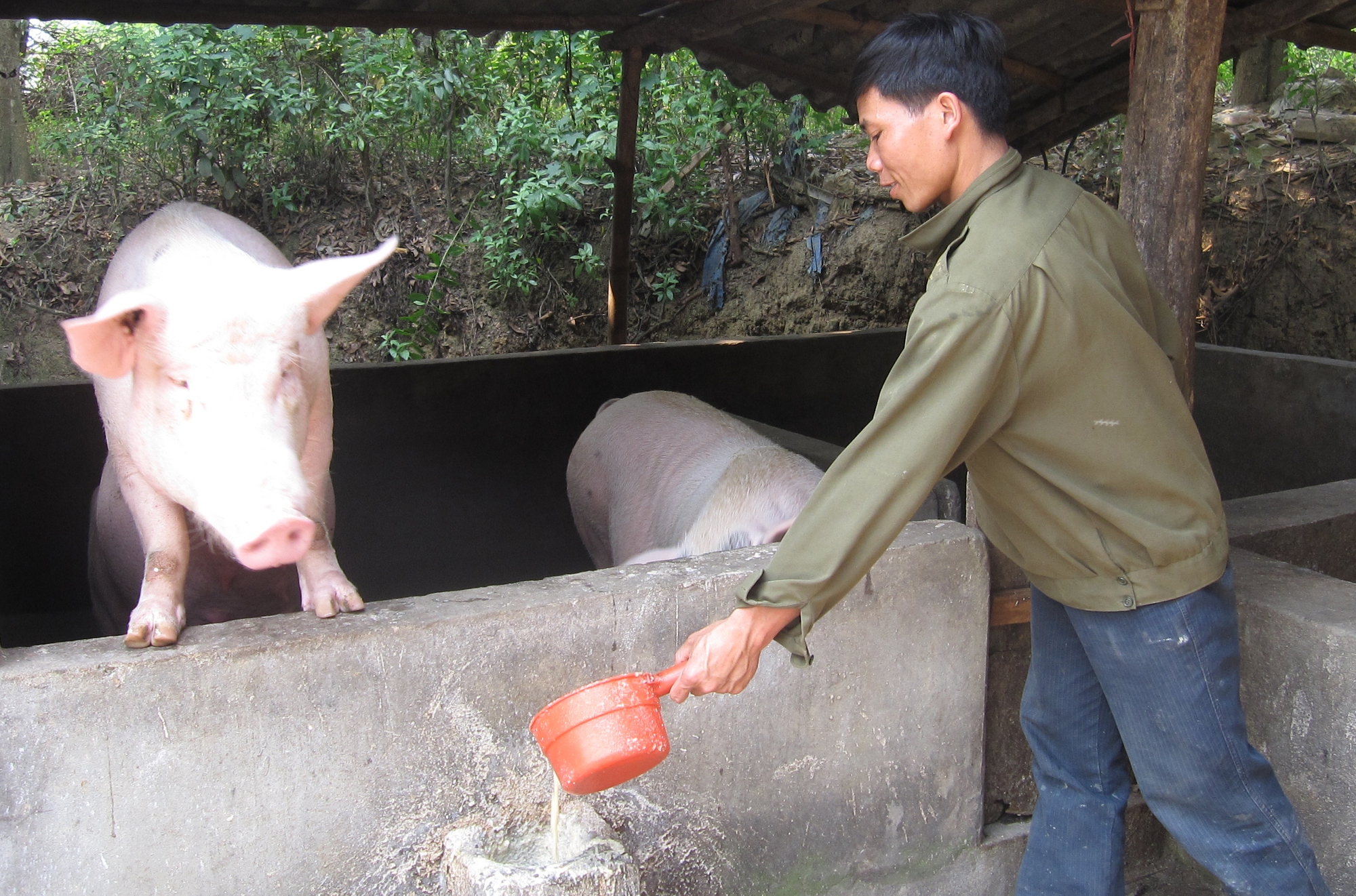 Cùng nông dân đưa sản phẩm nông nghiệp từ &quot;thâm sơn cùng cốc&quot; hội nhập quốc tế (Bài 1) - Ảnh 7.