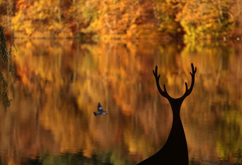 Ngắm loạt ảnh tuyệt đẹp về mùa thu trên khắp thế giới - Ảnh 2.
