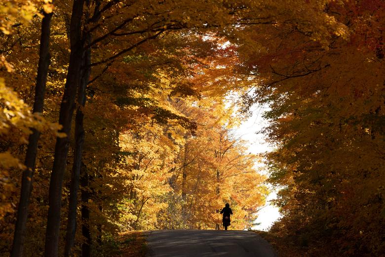 Ngắm loạt ảnh tuyệt đẹp về mùa thu trên khắp thế giới - Ảnh 3.
