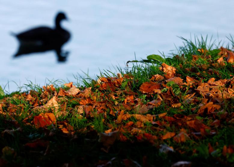 Ngắm loạt ảnh tuyệt đẹp về mùa thu trên khắp thế giới - Ảnh 4.