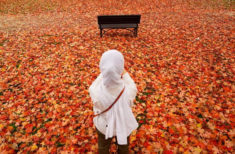 Ngắm loạt ảnh tuyệt đẹp về mùa thu trên khắp thế giới - Ảnh 6.