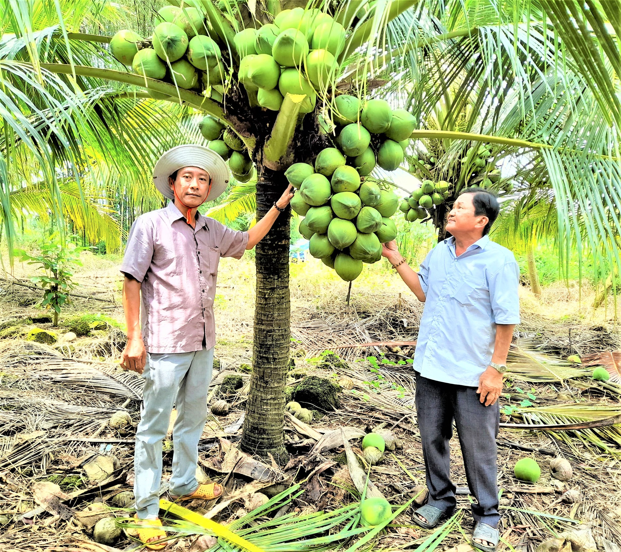 Trồng cây thấp tè đã ra vô số trái, dân nơi này của Đồng Nai hái xếp la liệt, bao nhiêu cũng bán hết - Ảnh 2.