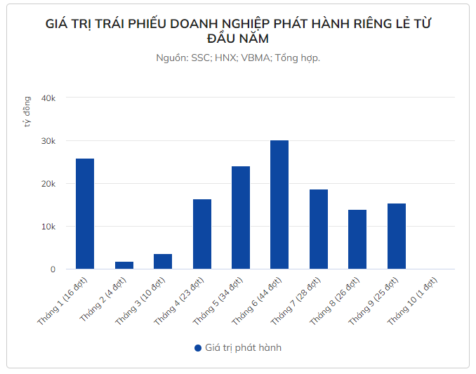 Chỉ có một đợt phát hành trái phiếu riêng lẻ trong tháng 10 - Ảnh 2.