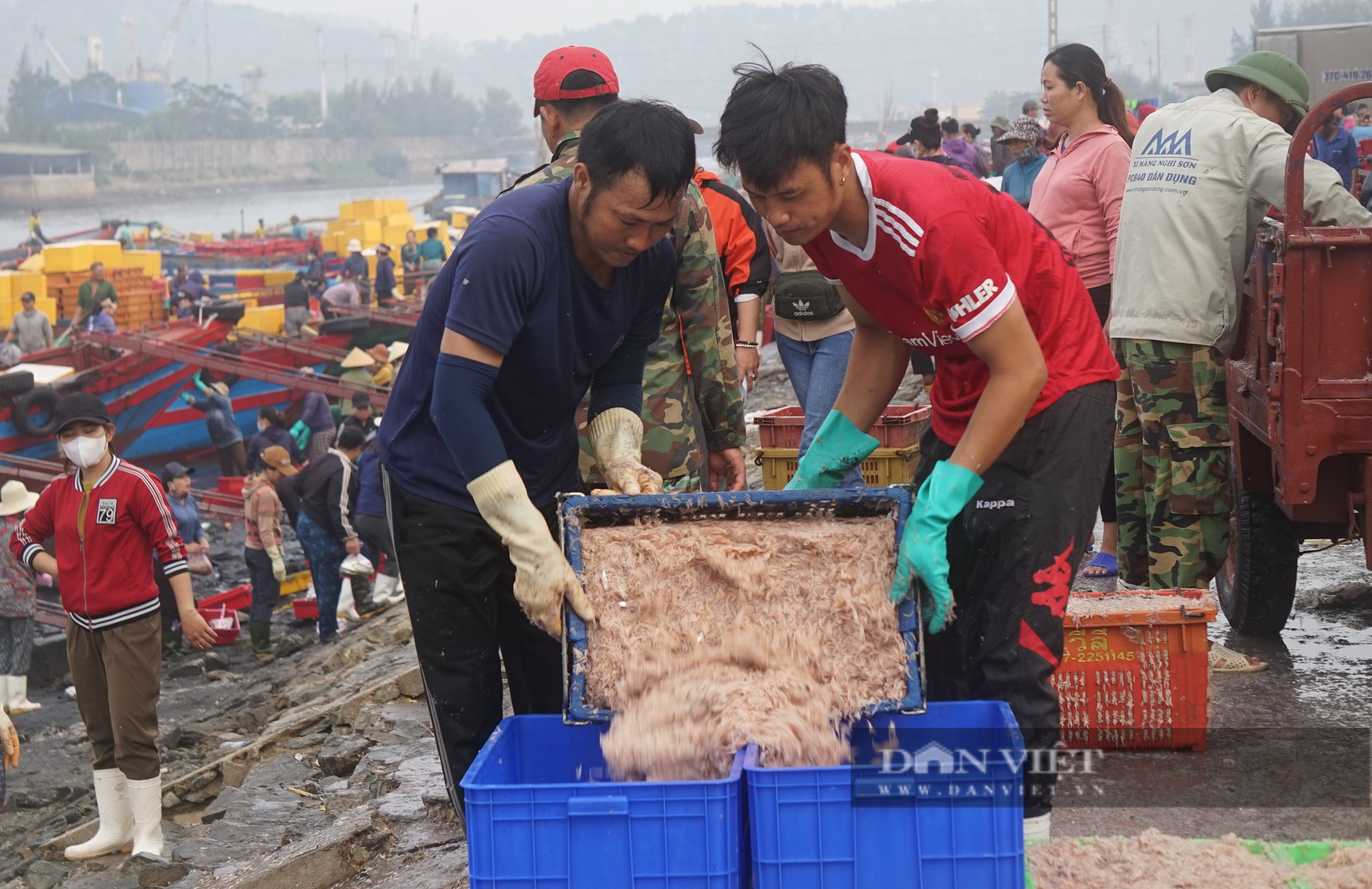 Cảnh những con thuyền đầy ắp ruốc biển cập bến, mỗi bình minh ngư dân kiếm hàng chục triệu đồng - Ảnh 18.