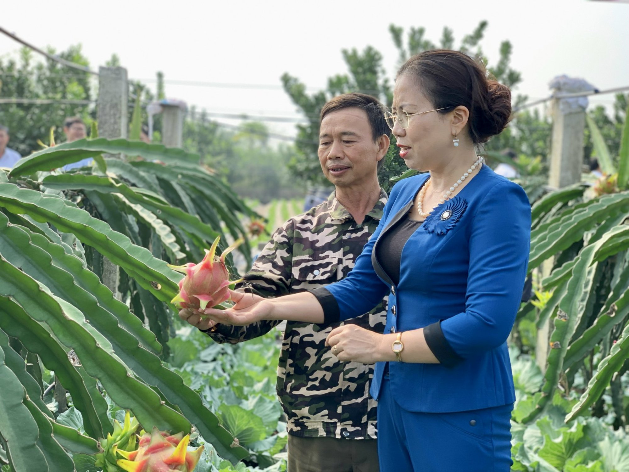 Phó Chủ tịch Hội NDVN Bùi Thị Thơm: Nông dân Hà Nam hướng tới làm nông chuyên nghiệp, xây dựng thương hiệu nông sản - Ảnh 4.