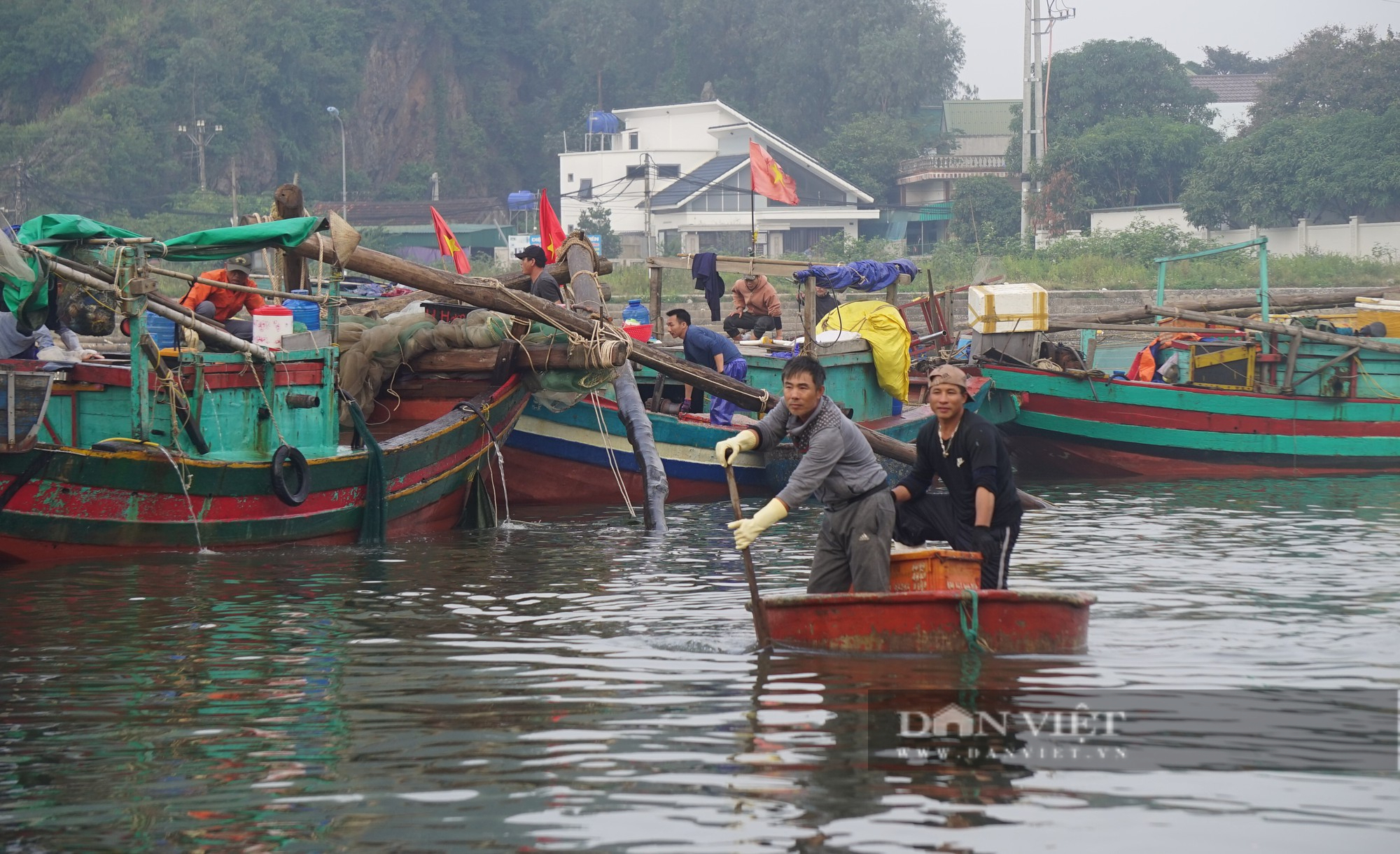 Cảnh những con thuyền đầy ắp ruốc biển cập bến, mỗi bình minh ngư dân kiếm hàng chục triệu đồng - Ảnh 11.