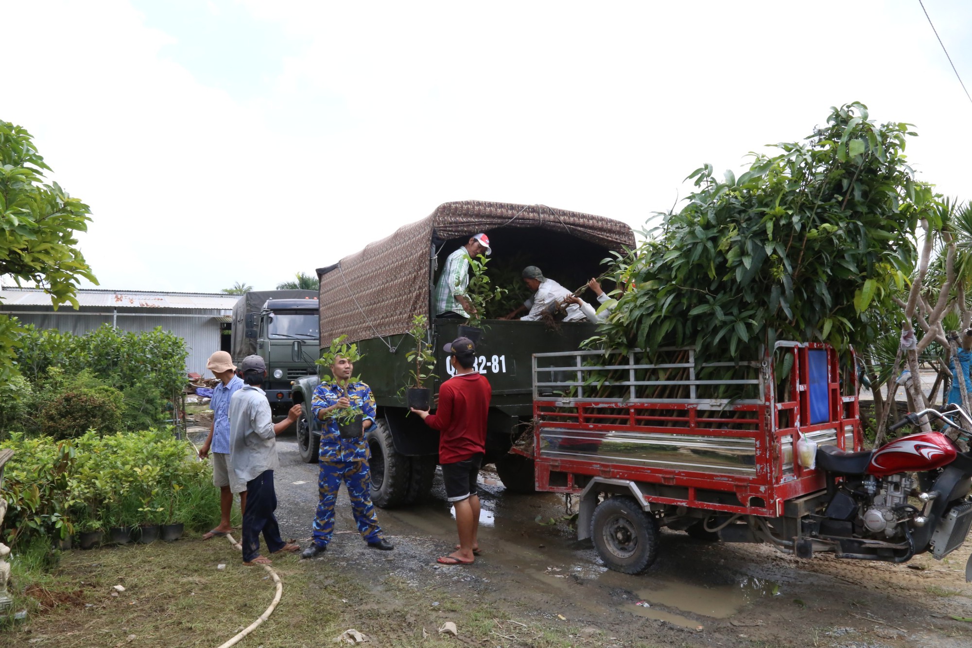 Vùng 4 Hải quân: Tiếp nhận 15.000 giống cây trồng - Ảnh 1.