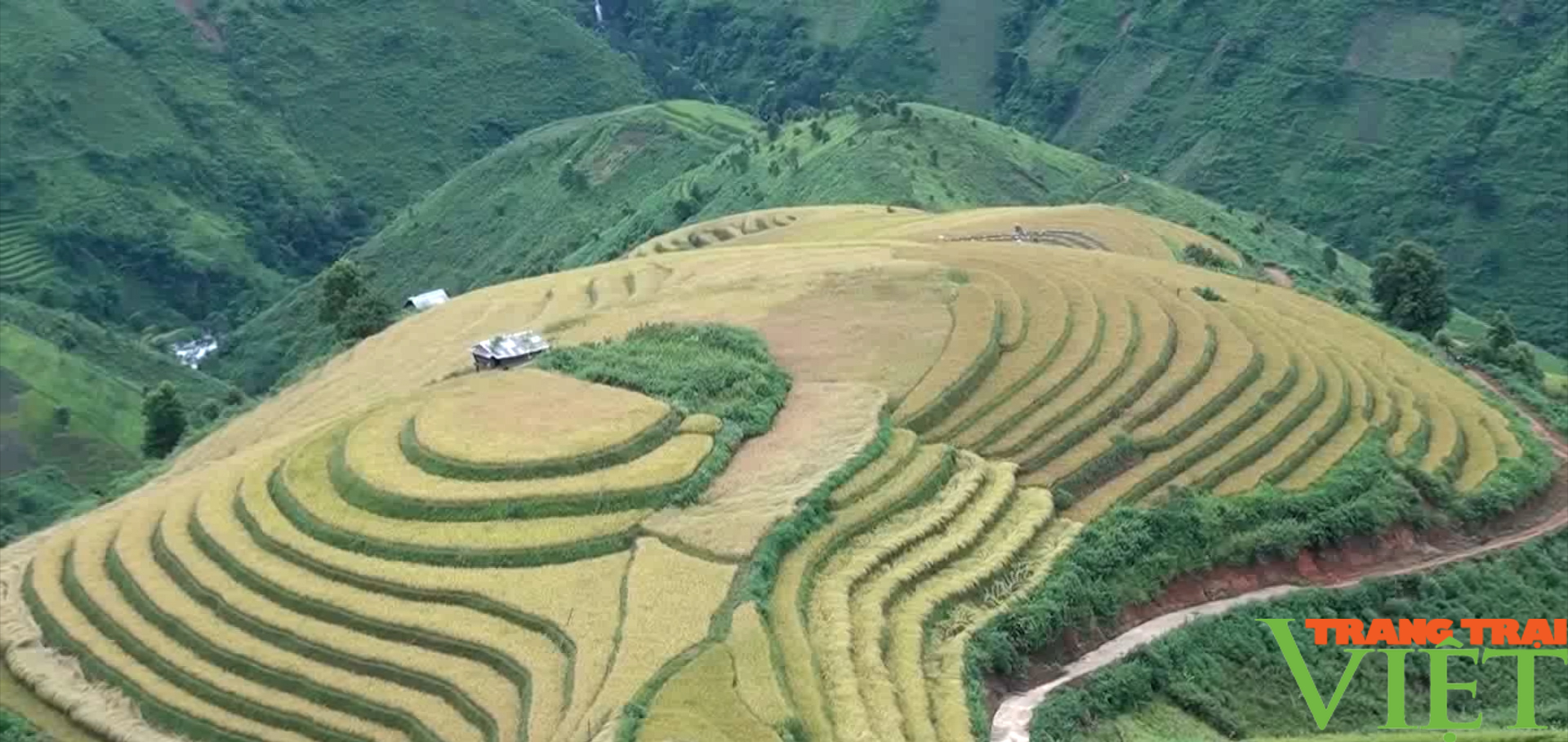 Sơn La: Tiềm năng phát triển Du lịch vùng cao Bắc Yên - Ảnh 4.