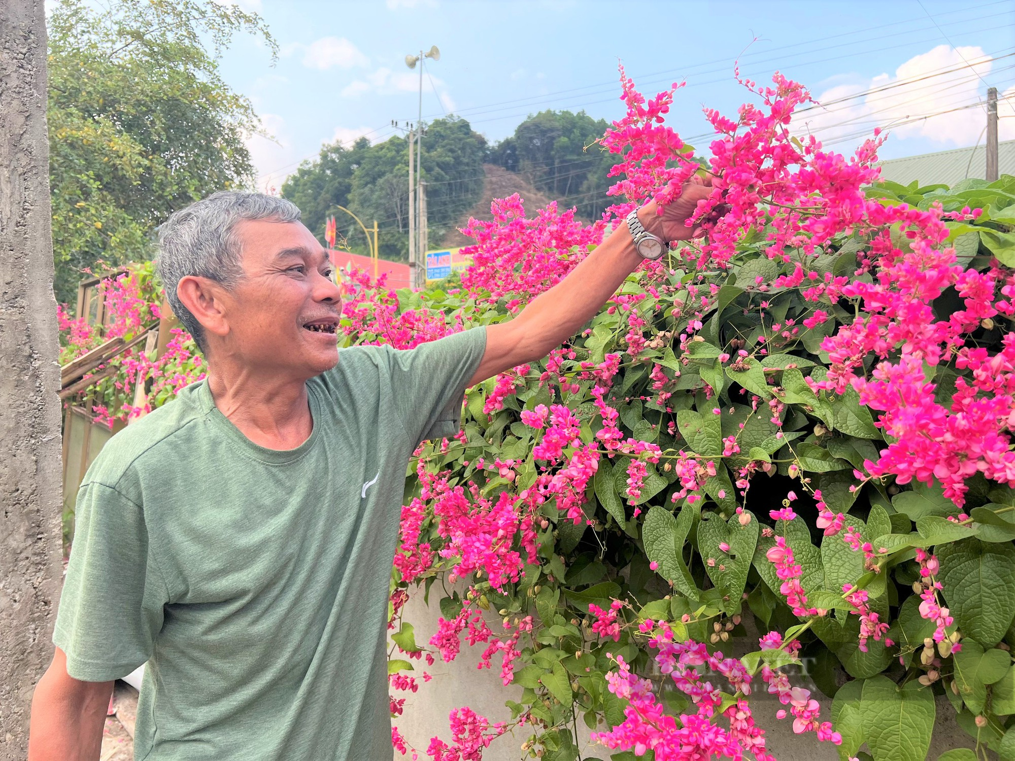 Rực sắc màu cung đường hoa tigôn ở huyện miền núi Hà Tĩnh - Ảnh 9.