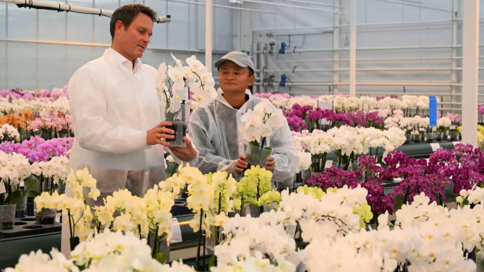 Jack Ma, phải, tại một công ty trồng hoa ở Hà Lan vào năm ngoái, một trong số những quốc gia mà ông đã đến thăm kể từ khi bất hòa với chính quyền Trung Quốc. Ảnh: @Anthura/Reuters.