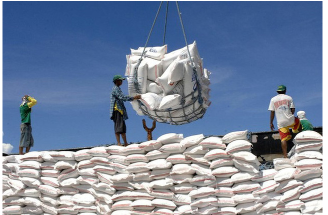 Giá gạo xuất khẩu tăng, nhiều triển vọng trong vụ thu hoạch mới - Ảnh 2.