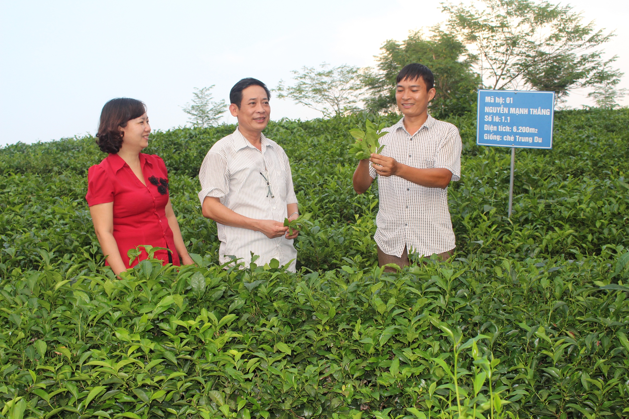 Nông thôn mới Tuyên Quang phát huy vai trò chủ thể của nông dân, hơn 35.000 mô hình của nông dân thu nhập cao - Ảnh 2.