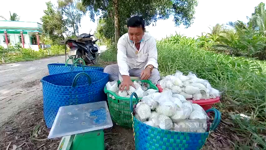 Thua lỗ bán đất trả nợ, nông dân chuyển sang trồng cây đặc sản kiểu “thả vịt đi lùa” sống khỏe - Ảnh 4.